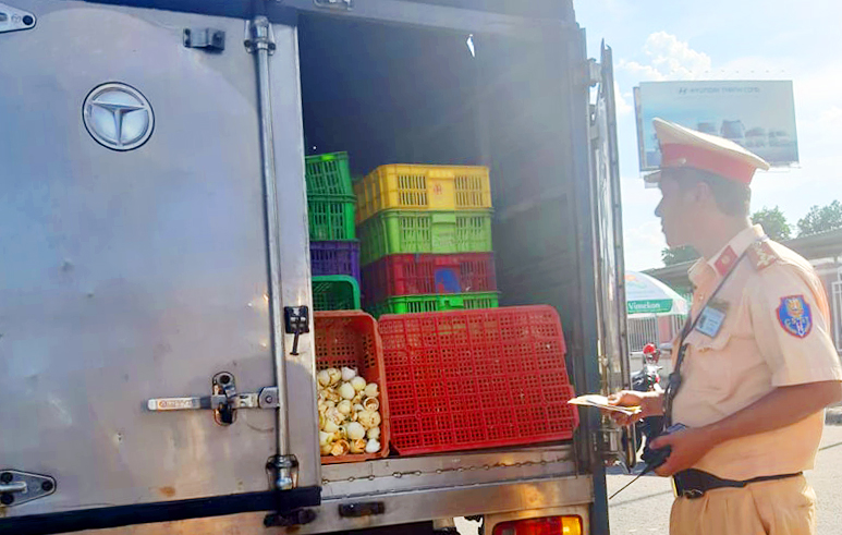 Ngăn chặn trên 1 tấn động vật không giấy kiểm dịch đang trên đường tiêu thụ