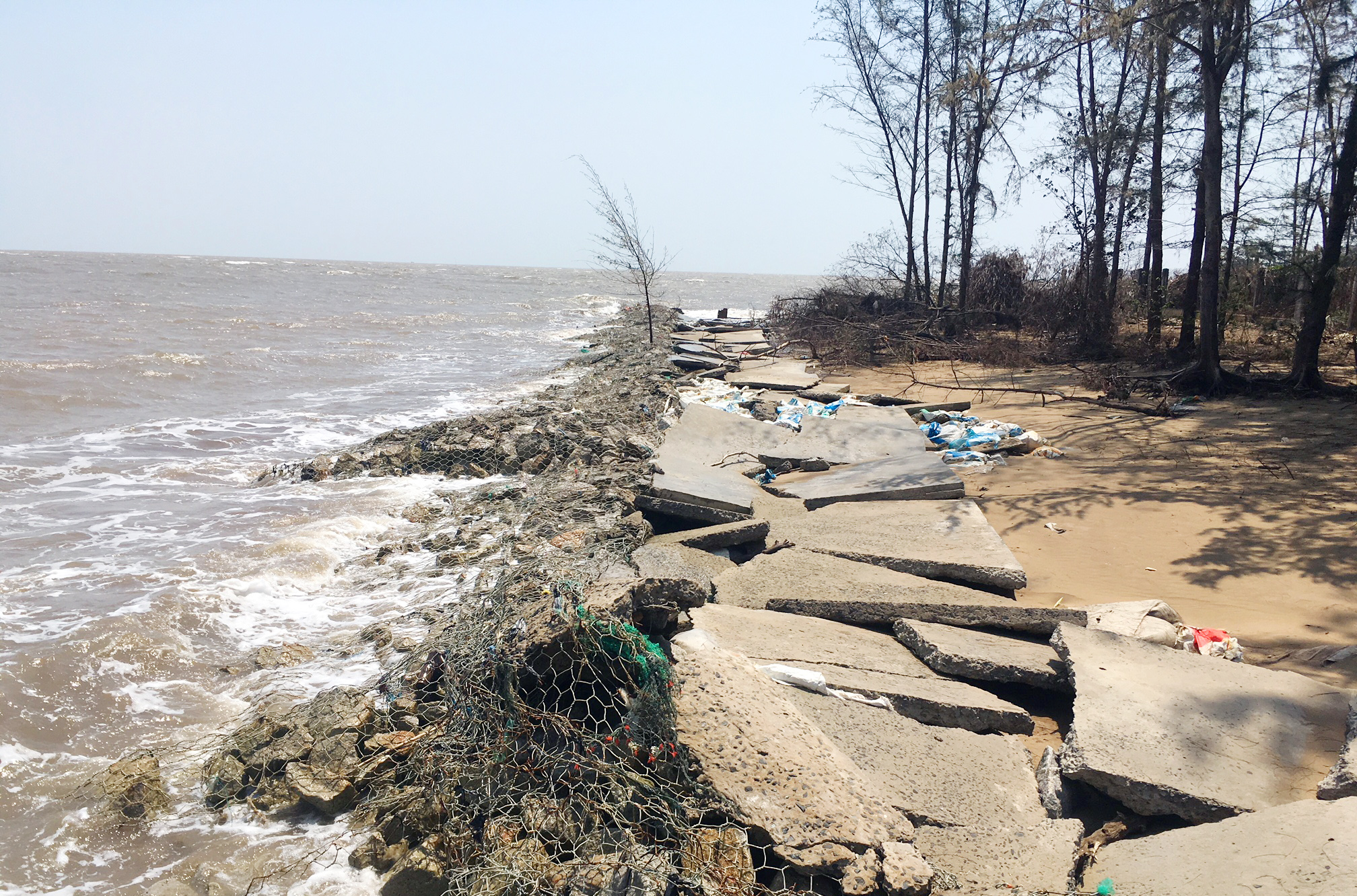 Bến Tre ban bố tình huống khẩn cấp sạt lở bờ sông, bờ biển