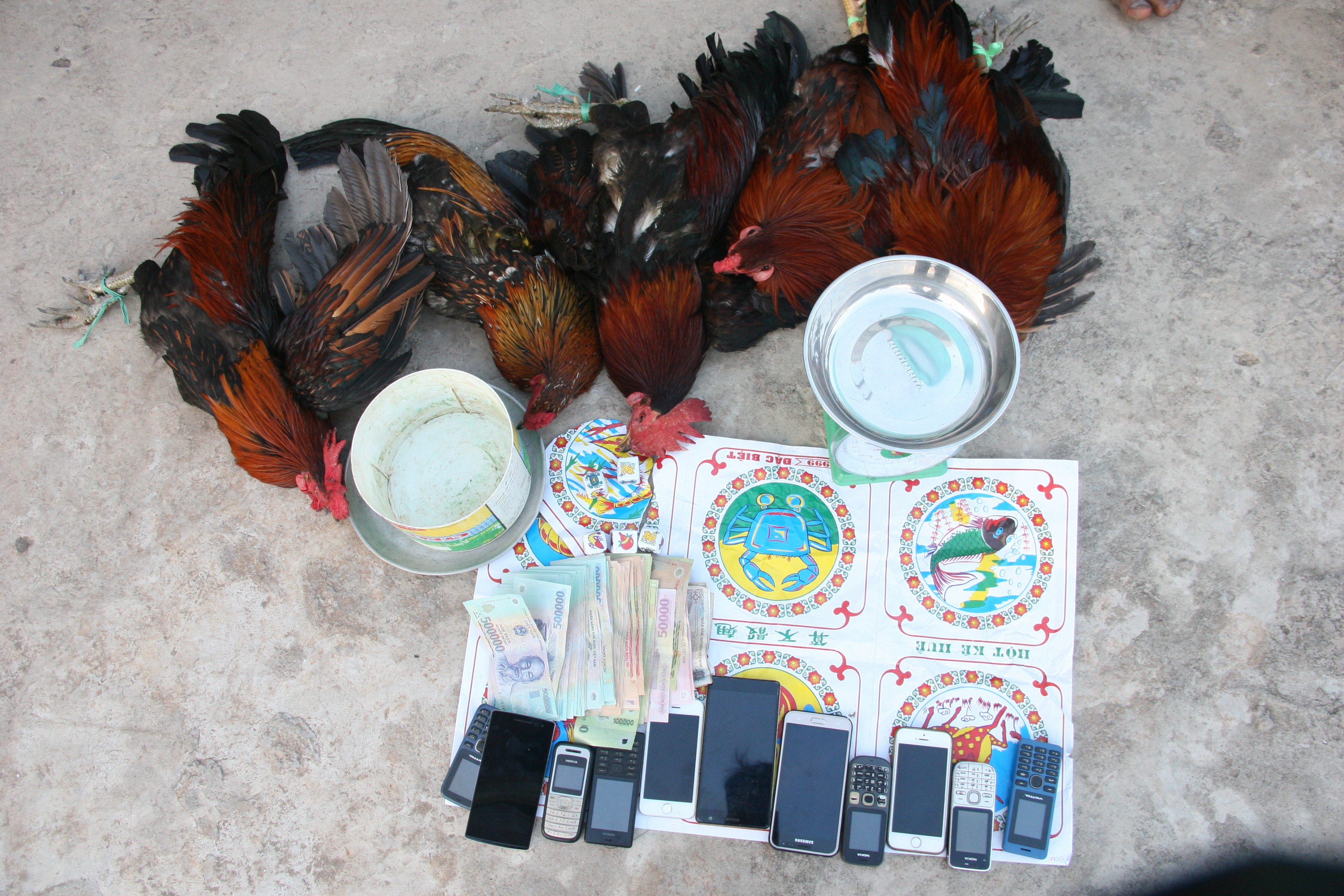 Kỷ luật Phó Chủ tịch xã đá gà ăn tiền