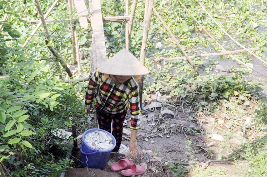 Nguyên nhân khiến cá nuôi lồng bè ở An Giang chết hàng loạt 