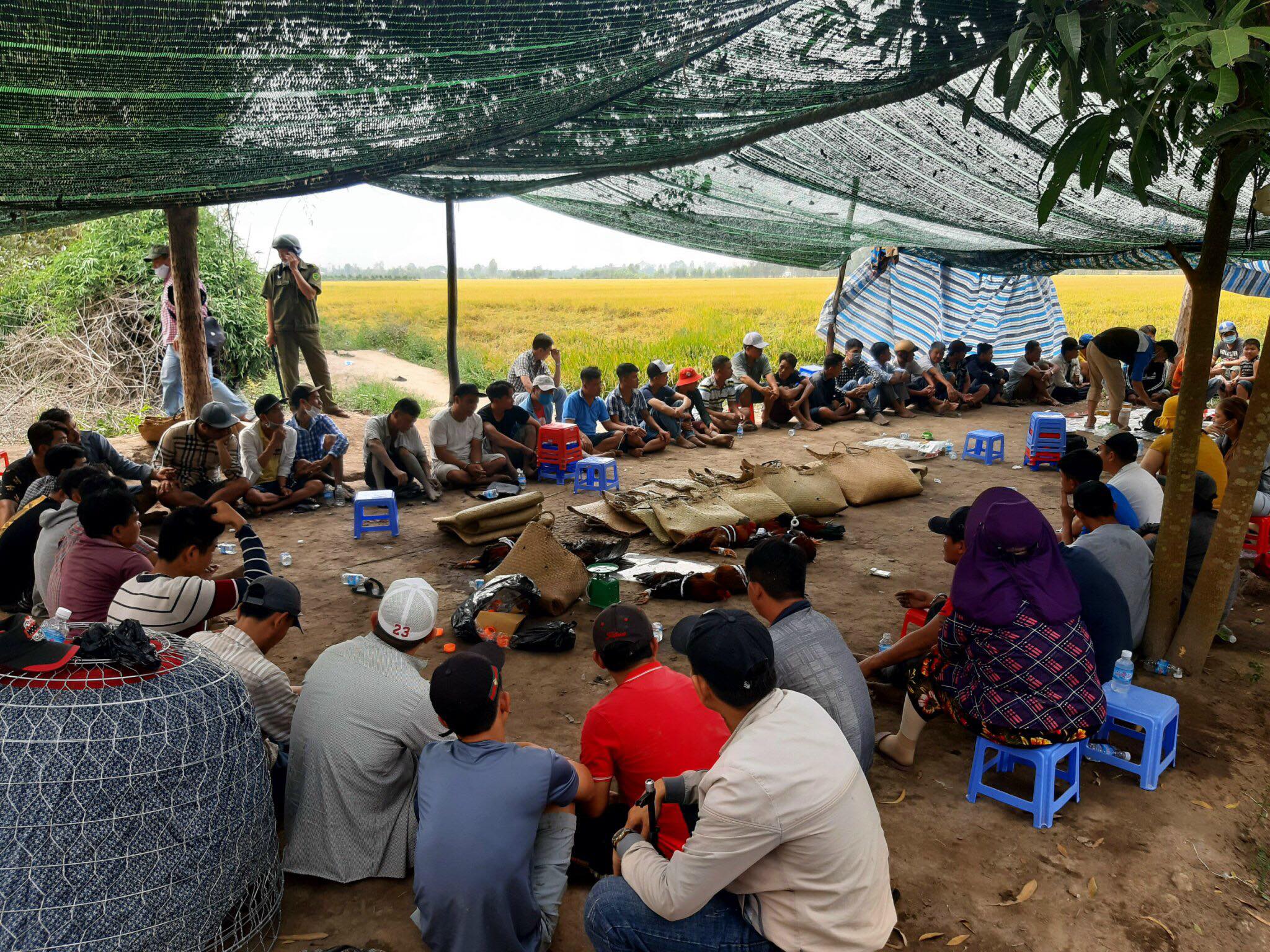 Bắt quả tang 68 đối tượng cờ bạc, thu giữ trên 615 triệu đồng