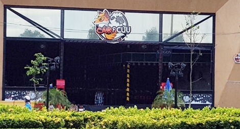 Sau phản ánh của Báo CAND, Nhà hàng Cáo và Cừu Beer Garden đã trồng lại 2 cây sao đen