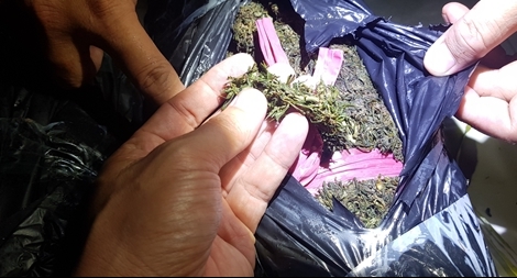 Bốn đối tượng vứt 20kg cần sa khô bỏ chạy qua biên giới