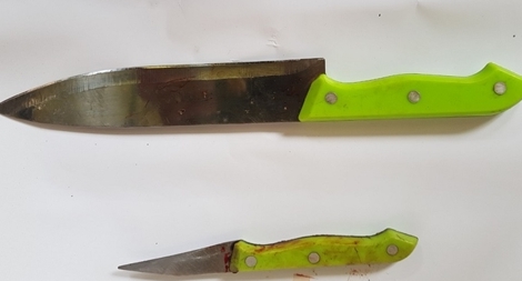 Đối tượng “ngáo đá” gây thương tích cho 2 cán bộ Công an xã