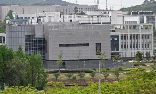 Tình báo Đức nghi ngờ cáo buộc nguồn gốc COVID-19 xuất phát từ Vũ Hán