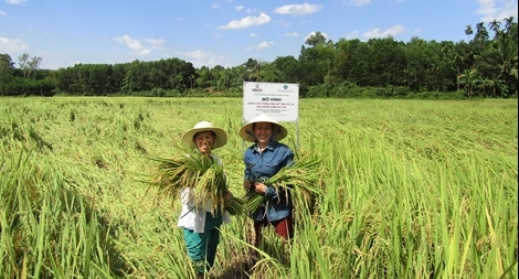 Cơ quan Phát triển Quốc tế Hoa Kỳ công bố hoàn thành Dự án Trường Sơn Xanh