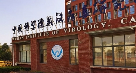 Các nhà khoa học bác giả thuyết virus gây ra COVID-19 rò rỉ từ phòng thí nghiệm