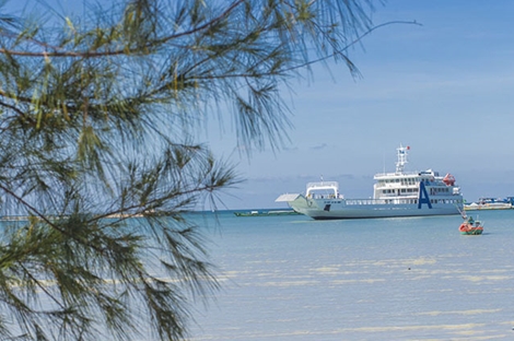 Nam hành khách nhảy xuống biển khi phà cao tốc đang chạy