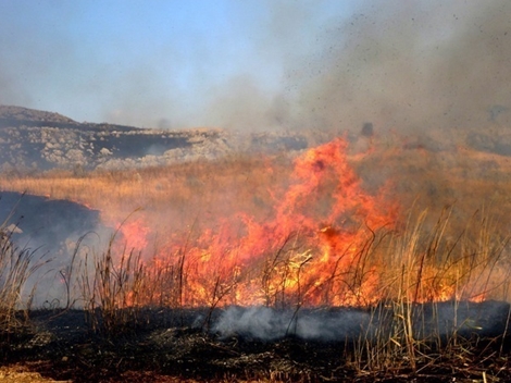 Cụ bà chết cháy sau khi đốt cỏ