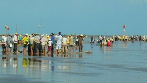 Cà Mau chỉ đạo hỏa tốc việc người dân đổ xô khai thác nghêu giống