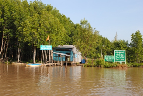 Cách chức sếp Ban quản lý Khu dự trữ sinh quyển Mũi Cà Mau