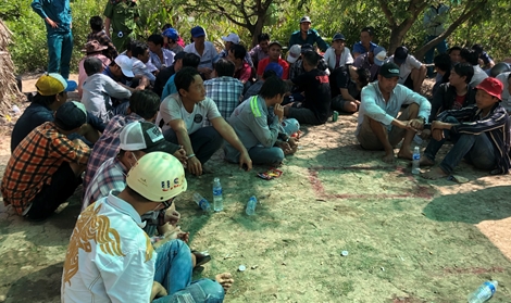 Xóa sổ trường gà ở Cà Mau trong ngày Tết Dương lịch  