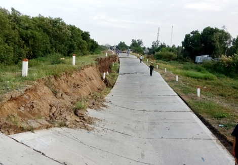 Đường phòng hộ đê biển Tây sụt lún nghiêm trọng