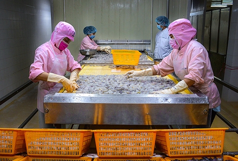 Phấn đấu xuất khẩu tôm năm 2020 đạt 3,5 tỉ USD