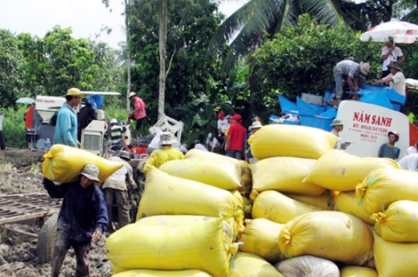 Ba thương lái nợ trên 1,3 tỉ đồng tiền mua lúa của dân 