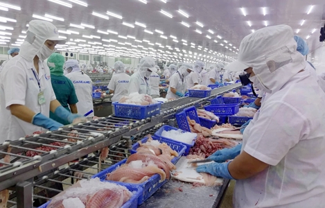 Cơ hội cho nông sản vùng ĐBSCL từ Hiệp định EVFTA 