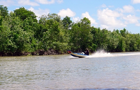 Tái sinh 150 ha rừng ngập mặn để giải quyết vấn đề biến đổi khí hậu