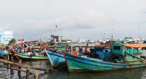 Thuyền trưởng tàu cá ở Cà Mau bị phạt 630 triệu đồng