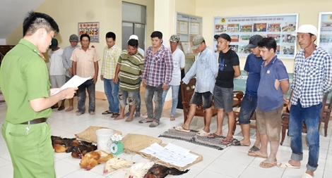 Triệt phá 2 trường gà quy mô lớn tại Bạc Liêu và Cà Mau 