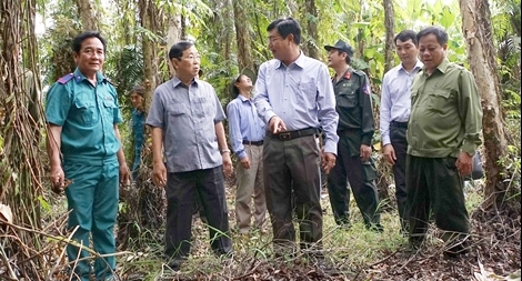 Giữ rừng U Minh Hạ an toàn cao điểm mùa khô