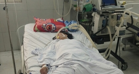 Người phụ nữ ngưng tim, ngưng thở sau khi ăn sam biển