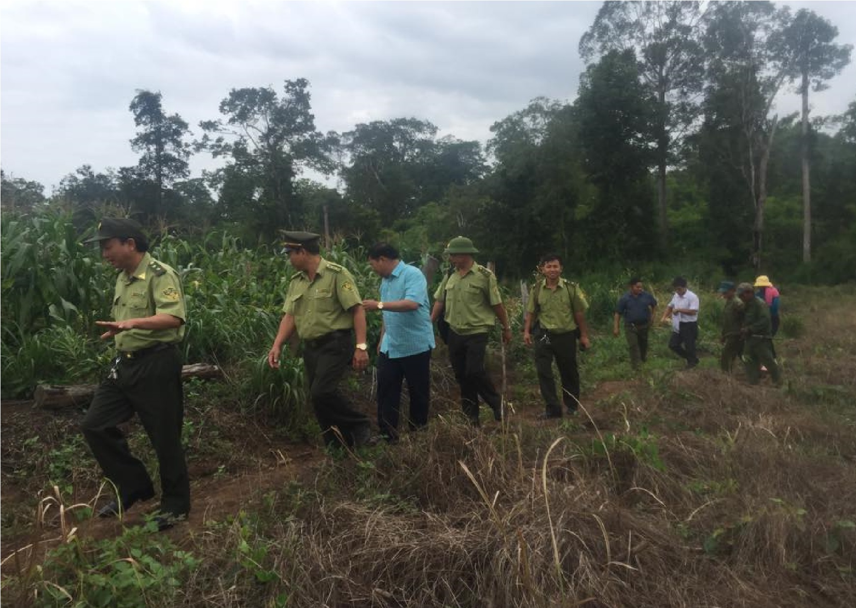 Kinh hãi 20 con voi rừng rầm rập kéo về tàn phá hoa màu của dân