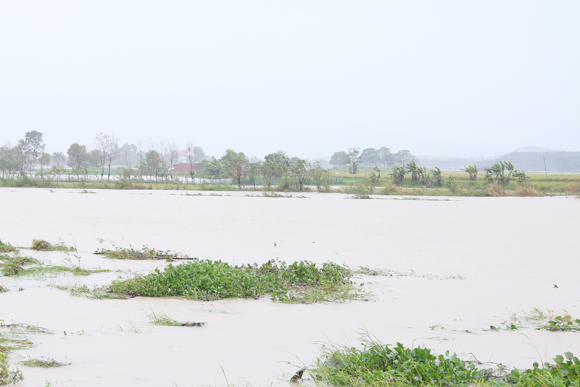 Bão Damrey đổ bộ vào Đắk Lắk, nhiều tuyến đường bị chia cắt