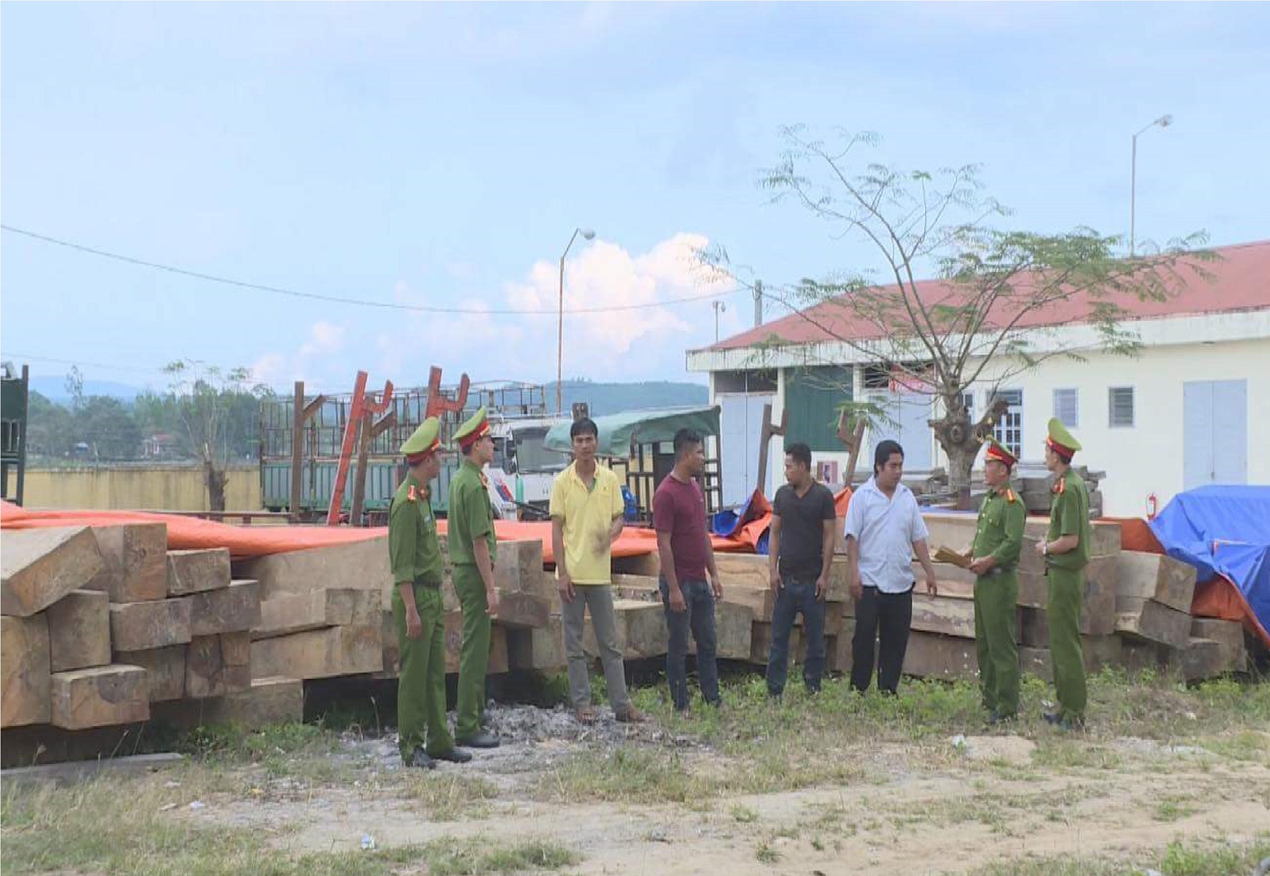 Bắt giữ 7 đối tượng trong vụ vận chuyển gỗ lậu tại huyện M’Đrắk