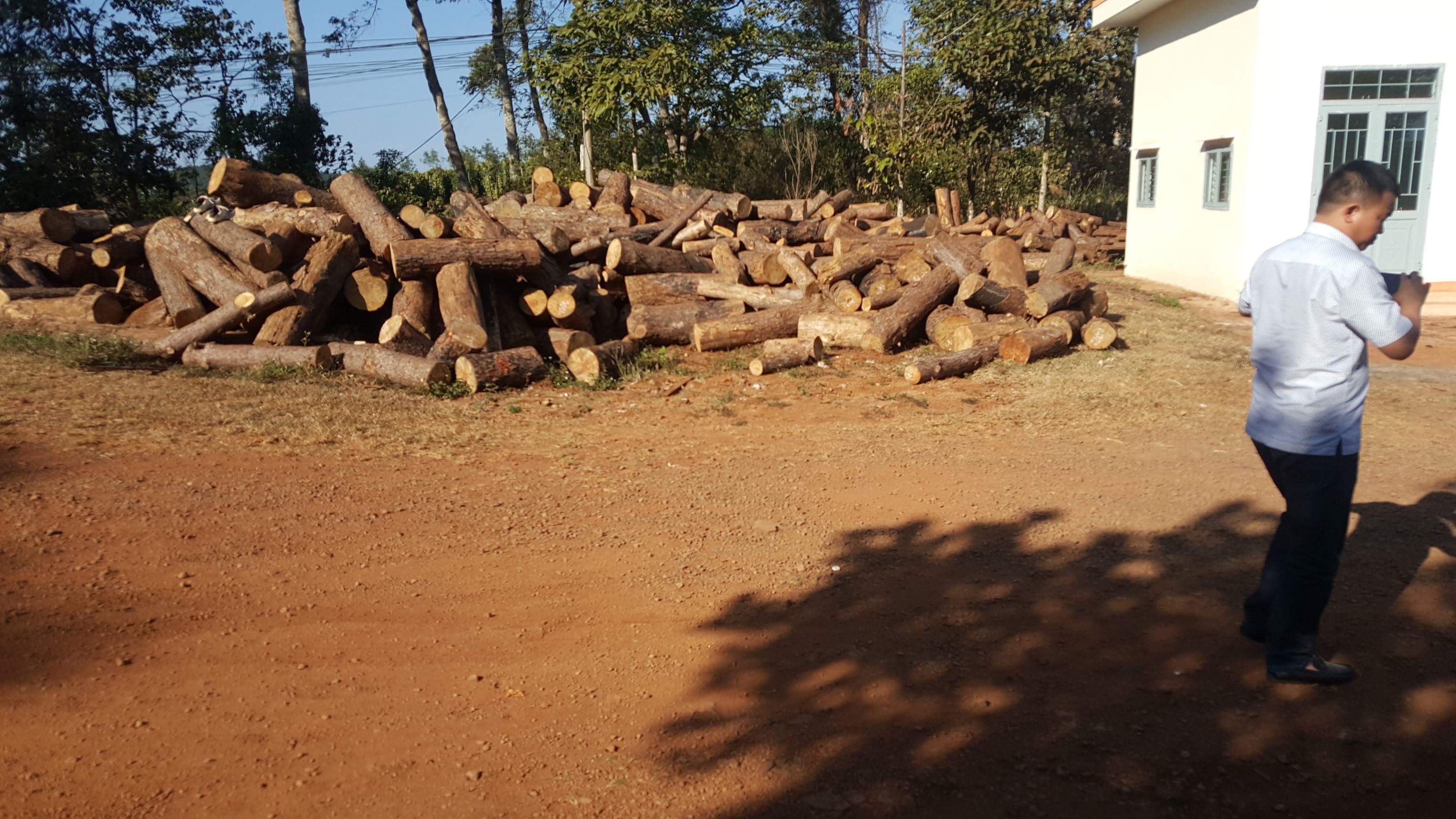 Chủ tịch xã nhận hàng trăm triệu đồng “giúp” phá rừng