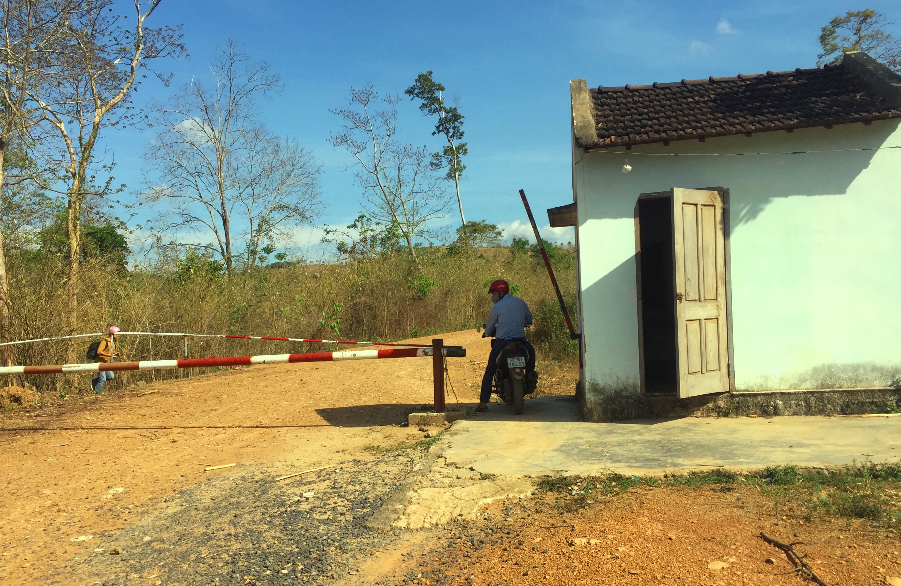 Vụ “trùm” gỗ Phượng “râu”: Thêm một cán bộ lâm nghiệp bị đình chỉ công tác