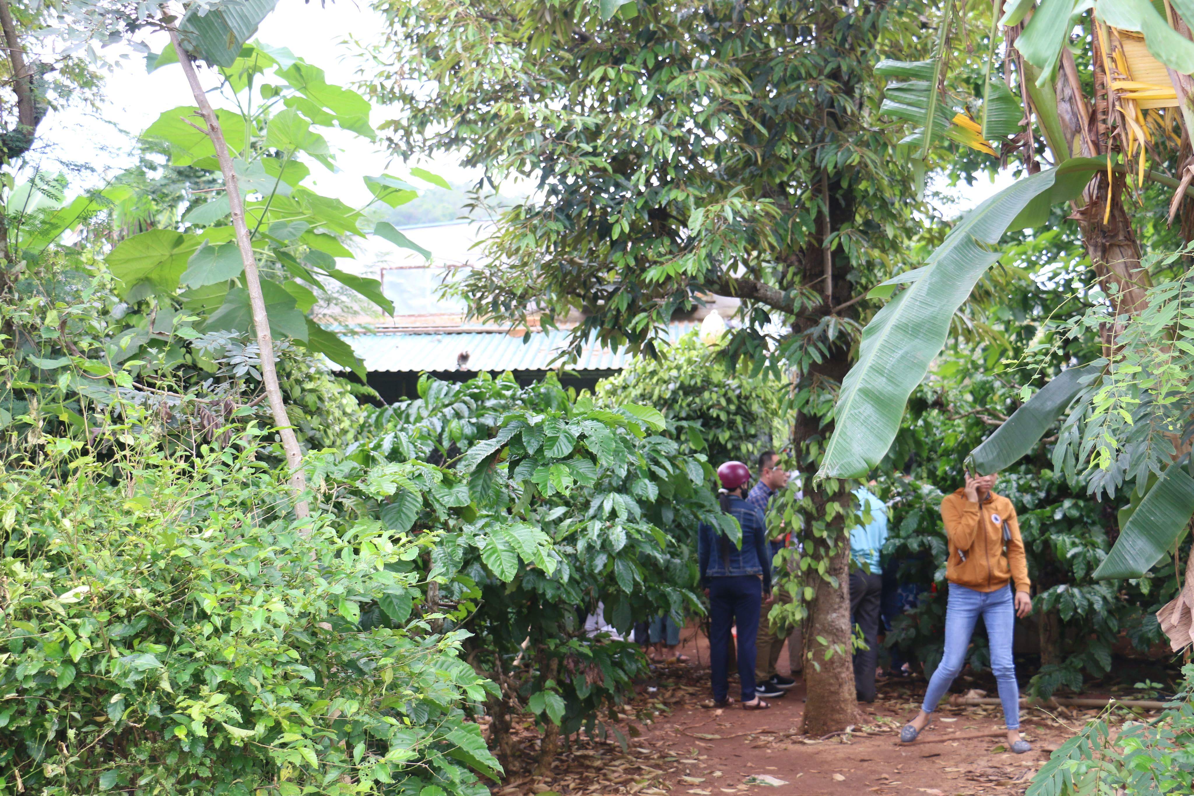 Phát hiện 2 thi thể nghi bị sát hại trong chòi vắng