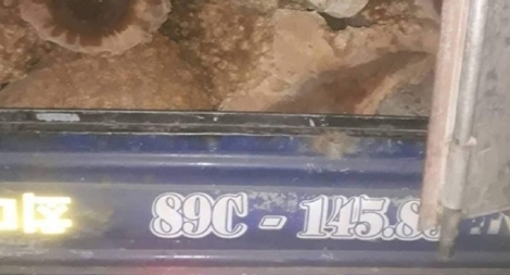 Khởi tố, bắt tạm giam chủ tịch xã tẩu tán gỗ lậu