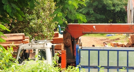 Yêu cầu làm rõ những sai phạm tại Cục THADS Đắk Lắk