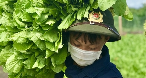 Những chuyến xe nghĩa tình hướng về người dân vùng dịch