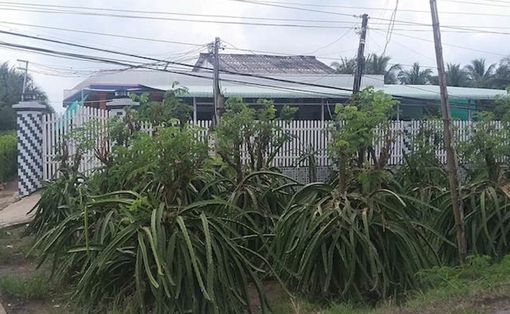 Ba mẹ con chết thảm do uống thuốc diệt cỏ