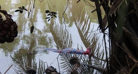 Thi thể người phụ nữ mang thai 7 tháng trôi sông