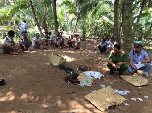 Phá tụ điểm đá gà thu tang vật trên 90 triệu đồng