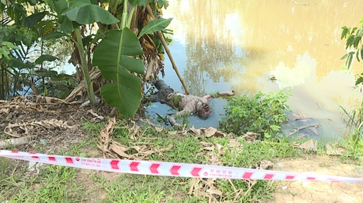 Thi thể người đàn ông trôi trên sông Cái Tàu