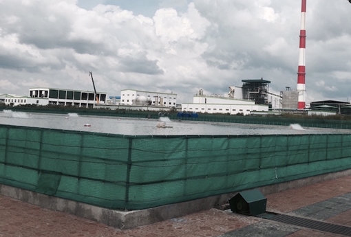 Nhà máy giấy Lee & Man thừa nhận mùi hôi phát sinh trong quá trình tái chế giấy