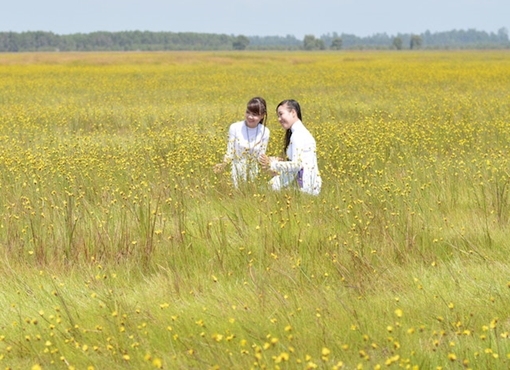 Kêu gọi 33 dự án, đầu tư 7.800 tỷ đồng vào du lịch miền Tây