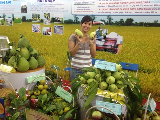 Xuất khẩu rau củ quả, vượt lúa gạo và dầu khí