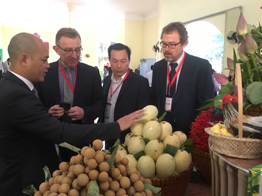 Đồng Tháp được ví như “ngôi sao sáng” về môi trường đầu tư