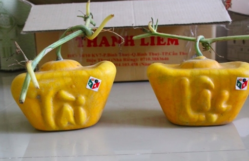 40 cặp dưa hấu thỏi vàng, giá cực khủng của lão nông miền Tây