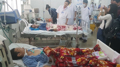 Các bệnh nhân ăn phải cá nóc qua cơn nguy kịch