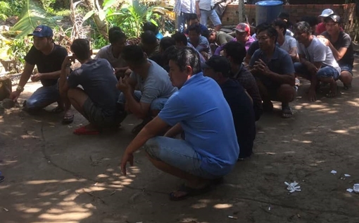 Công an Tiền Giang liên tiếp triệt phá các tụ điểm đá gà quy mô lớn