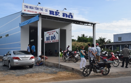 Trộm đột nhập lấy hơn 1 tỷ đồng ở vựa tôm tại Trà Vinh