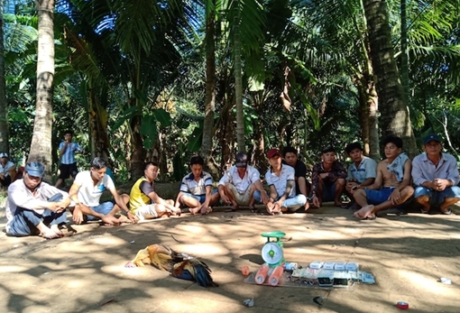 11 con bạc bị bắt tại tụ điểm đá gà