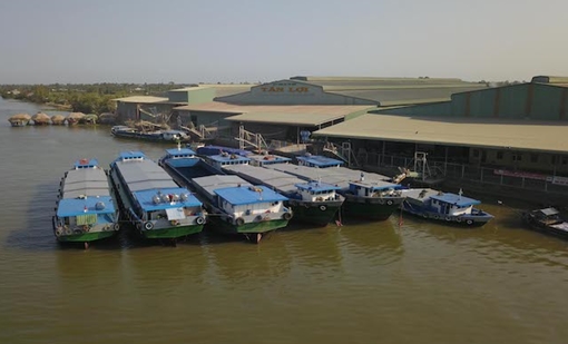 Giải cứu vụ lúa đông xuân phải nghĩ ngay đến vụ hè thu