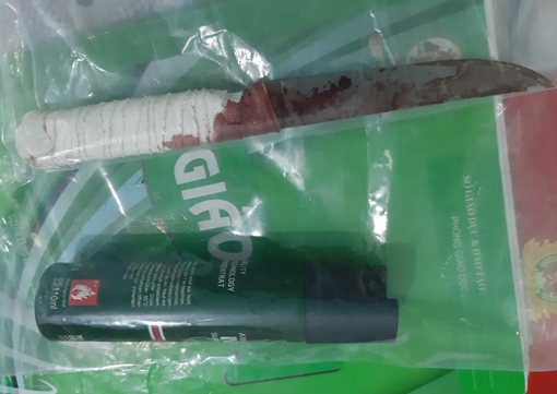 Cô gái 18 tuổi đâm chết chồng hờ