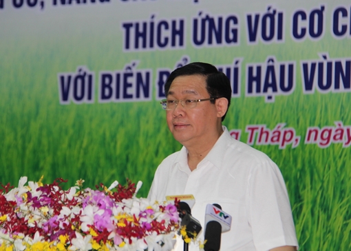 Phó Thủ tướng Vương Đình Huệ thăm và làm việc tại Đồng Tháp